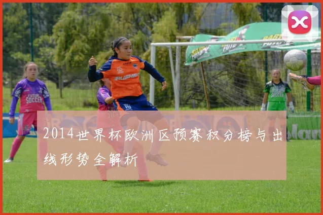 2014世界杯欧洲区预赛积分榜与出线形势全解析