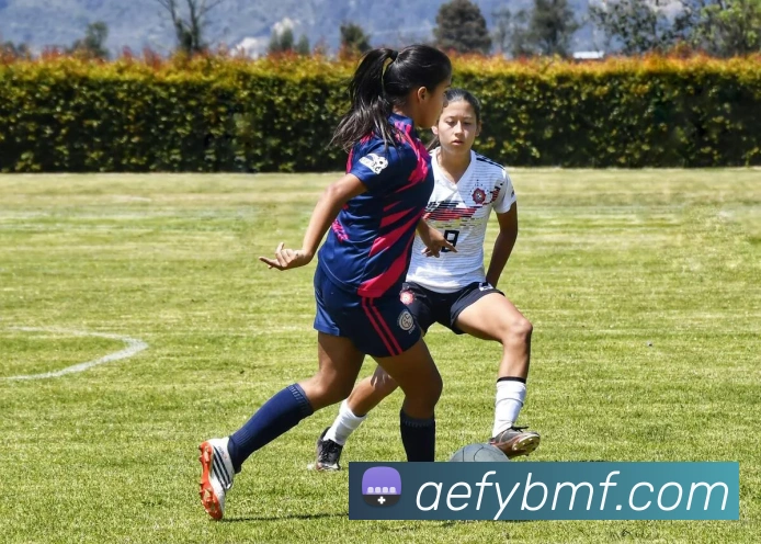 leyu乐鱼手机官网入口平台生态图