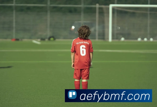 leyu乐鱼手机官网入口全站App